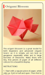 Origami Paper Tricks screenshot 1/1