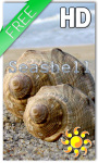 Sea Shell Live Wallpaper HD screenshot 1/2