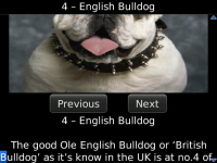 Worlds Most Expensive Dog Breeds screenshot 1/2