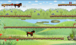 Horse Run Casual Action game free screenshot 2/4