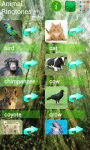 Animal Ringtone Sounds screenshot 2/3