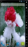 Snowed Rose Live Wallpaper screenshot 2/2