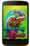 101 Amazing Animals screenshot 1/3