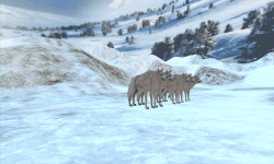 Wolf Hunters Game 3D screenshot 1/6
