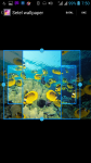 Free Download Aquarium HD Wallpaper screenshot 3/4