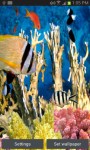 Colorful Fish In Aquarium LWP free screenshot 2/6