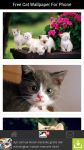 Free Cat Wallpaper For Phone screenshot 2/6