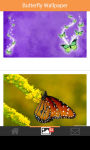 butterfly beautifull wallpaper screenshot 6/6
