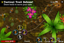 Anthill and 40 Games screenshot 2/3