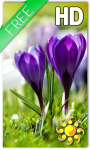Spring Live Wallpaper HD Free screenshot 1/2