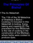 The Laws Of Cooking On Shabbos screenshot 1/1