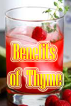 Benefits of Thyme screenshot 1/3