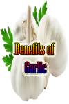 Garlic Benefits  screenshot 1/3