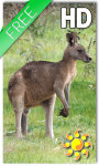 Kangaroo Australia LWP screenshot 1/2