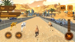 Camel Racing Simulation screenshot 1/1