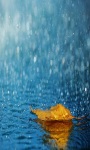 Beautifull Rain Fall From Above Wallpaper screenshot 3/3