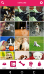 PetSutra - Pet Lovers App screenshot 3/3