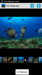 Fish HD Wallpaper For Android screenshot 1/4