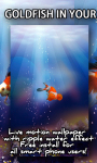 Goldfish In Your Pocket Live Wallpaper screenshot 2/3
