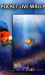 Goldfish In Your Pocket Live Wallpaper screenshot 3/3