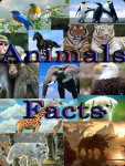 Funny Animal Facts screenshot 1/4