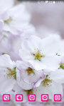 Blossom Sakura Wallpaper HD screenshot 3/5