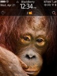 daZOO Orangutan Theme screenshot 1/1
