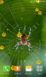 Spider Live Wallpapers New screenshot 5/6