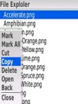 File Explorer Blackberry screenshot 4/5
