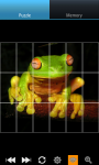 Funny Frogs : Loving Animals screenshot 1/6