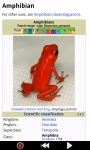 Funny Frogs : Loving Animals screenshot 3/6