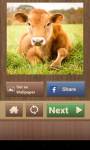 Animal Puzzle Games for Kids screenshot 6/6