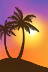 Sunset with Palm Tree Live Wallpaper screenshot 2/2