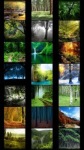 Forest Wallpapers by Nisavac Wallpapers screenshot 1/5