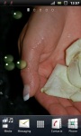 White Rose of Love Live Wallpaper screenshot 2/3