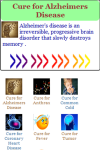 Cure for Alzheimers Disease screenshot 2/3