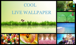 Cool Live Wallpapers HD screenshot 1/4