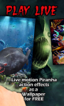 Piranha Play Live Wallpaper free screenshot 2/3