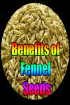Benefits of Fennel Seeds screenshot 1/3