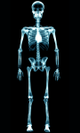 Human X Ray Scanner screenshot 3/6