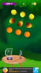 Fruit Cut Master Game screenshot 1/1