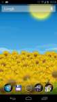 Sunflower Field Live Wallpaper screenshot 3/6