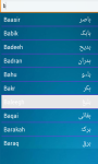Arabic Muslims Babies Names screenshot 2/3