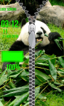Panda Zipper Lock Screen Free screenshot 5/6