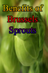 Benefits of Brussels Sprout screenshot 1/4