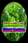 Curry Leaves Benefits screenshot 1/3