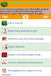 Curry Leaves Benefits screenshot 2/3