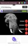 Elephant around the world 4k images and background screenshot 3/6