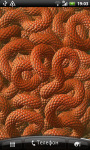 Worms Live Wallpaper screenshot 2/2