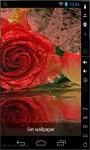 Shiny Red Rose LWP screenshot 2/2
